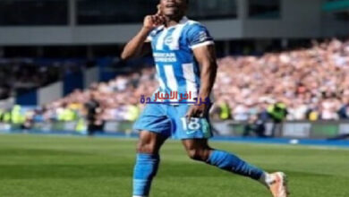 نتيجة مثيرة: برايتون يفاجئ ليفربول ويحقق انتصارًا تاريخيًا في الدوري الإنكليزي لكرة القدم