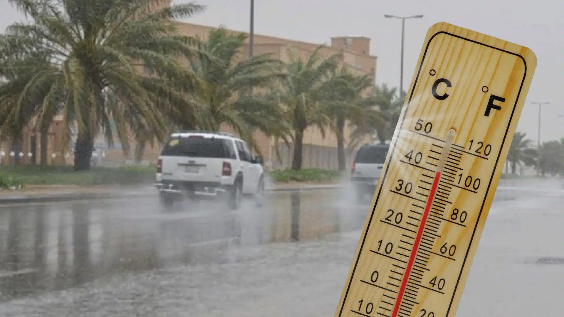 أمطار رعدية