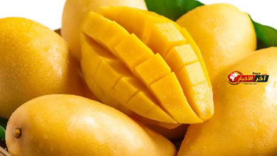 أسعار المانجو اليوم في سوق العبور