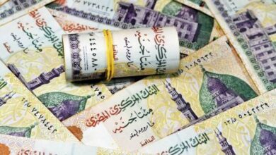 أرباح تصل إلى 110 آلاف جنيه تعرف على أفضل شهادات الادخار بالبنوك قبل قرار المركزي
