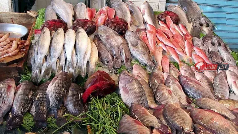 أسعار الأسماك والمأكولات البحرية