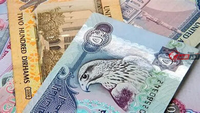 سعر الدرهم الإماراتي مقابل الجنيه المصري