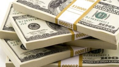 أسعار الدولار اليوم الاثنين 17 أغسطس 2026 في البنوك المصرية تبرز استقرارًا في سوق الصرافة