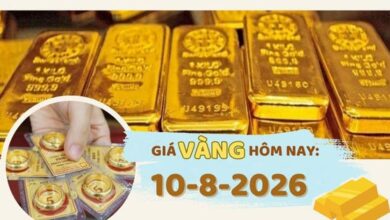 أسعار الذهب اليوم 10 أغسطس تتراجع بشكل طفيف وسط تقلبات السوق