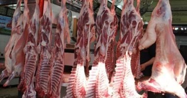 أسعار اللحوم في كفر الشيخ اليوم.. لحمة بلدى بـ370 جنيها، والضانى بـ400 جنيه