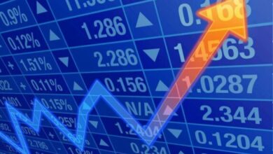 أسهم الأدوية تتصدر قائمة الأكثر تداولًا بالبورصة بقيادة إيبيكو وتحقيق المكاسب