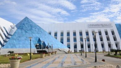 إيرادات المصرية للاتصالات تقترب من 59.2 مليار جنيه في النصف الأول من 2026