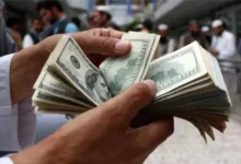 سعر الدولار مقابل الجنيه المصري اليوم