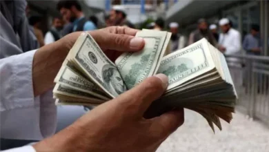 سعر الدولار مقابل الجنيه المصري اليوم
