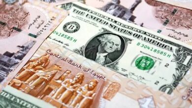 ارتفاع سعر الدولار في البنك المركزي 30 قرشا وتدفقات أجنبية لأذون الخزانة اليوم