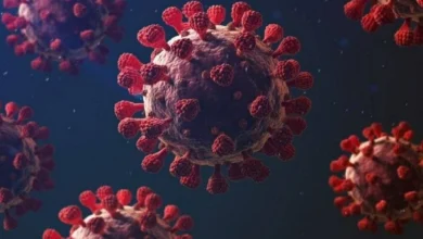 استخدام الذكاء الاصطناعي لتطوير فيروسات جديدة يحقق إنجازا علميا غير مسبوق