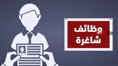 افتتاح 1489 فرصة عمل جديدة للشباب في 41 شركة تنتظرهم في 13 محافظة
