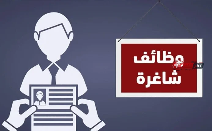 افتتاح 1489 فرصة عمل جديدة للشباب في 41 شركة تنتظرهم في 13 محافظة