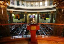 البورصة المصرية تواصل صعودها في منتصف تعاملات اليوم الأحد وتحقق مكاسب ملحوظة