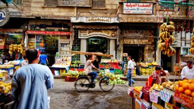 الجهاز المركزي للإحصاء يعلن عن تغيرات أسعار يوليو في الخضراوات واللحوم بشكل مفاجئ
