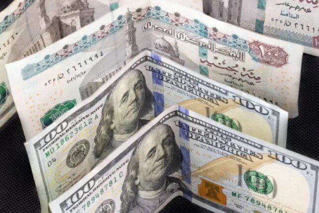 الدولار يستقر أدنى 50 جنيها في تعاملات اليوم الأحد ويتراجع أمام العملات الأخرى