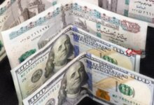 الدولار يقترب من 51 جنيهًا مع تراجع سعر الأخضر اليوم الثلاثاء 25 أغسطس 2026