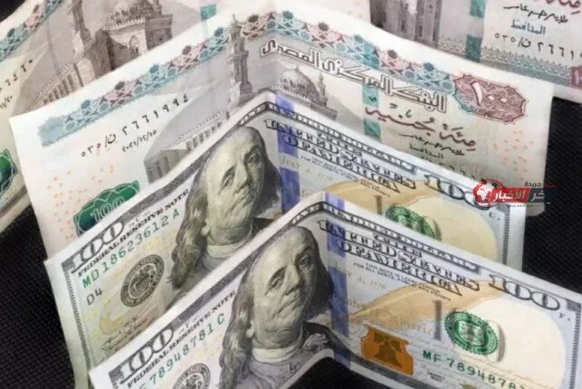 الدولار يقترب من 51 جنيهًا مع تراجع سعر الأخضر اليوم الثلاثاء 25 أغسطس 2026