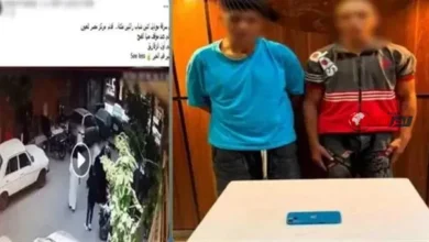 الشرطة تضبط شخصين متورطين في سرقة هاتف مدرس بالإكراه بمحافظة الشرقية
