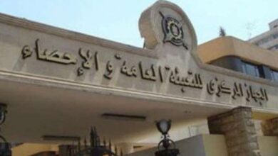 المصريون يستحوذون على 81 في المئة من العلامات التجارية الممنوحة خلال 2025