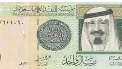 سعر الريال السعودي مقابل الجنيه المصري 