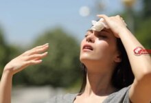 تأثير موجات الحر والرطوبة على صحة الإنسان والأمن الغذائي للمحاصيل الزراعية