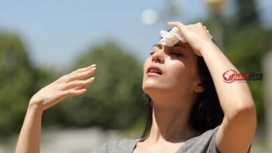 تأثير موجات الحر والرطوبة على صحة الإنسان والأمن الغذائي للمحاصيل الزراعية