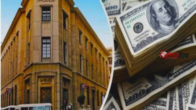 توقعات اجتماع البنك المركزي خبراء يرجحون تثبيت الفائدة وسط توقعات بتجاوز الدولار 50 جنيهًا