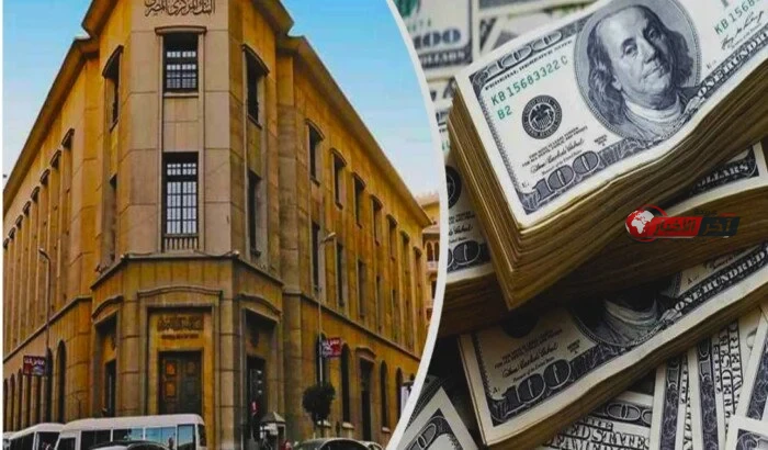 توقعات اجتماع البنك المركزي خبراء يرجحون تثبيت الفائدة وسط توقعات بتجاوز الدولار 50 جنيهًا