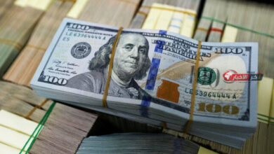ثبات العملة الخضراء سعر الدولار اليوم السبت 22 أغسطس 2026 في البنوك