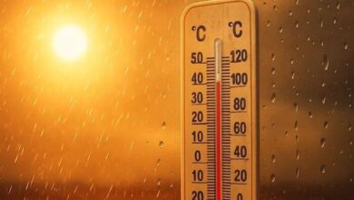 حالة الطقس اليوم: انخفاض كبير في درجات الحرارة وتوقعات بوصول العظمى في القاهرة إلى 34 درجة