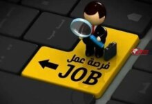 رواتب تصل إلى عشرين ألف جنيه وتخصصات وشروط وظائف وزارة العمل في شرم الشيخ لعام 2026