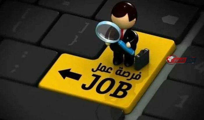 رواتب تصل إلى عشرين ألف جنيه وتخصصات وشروط وظائف وزارة العمل في شرم الشيخ لعام 2026