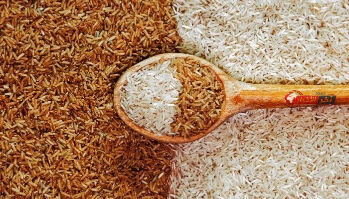 سعر الأرز الشعير اليوم السبت 29 أغسطس 2026 بين الحبة العريضة والرفيعة يتراجع ويشهد استقرارا