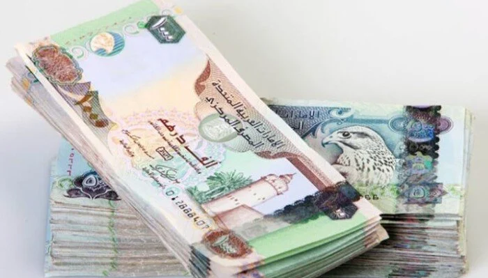 سعر الدرهم الإماراتي مقابل الجنيه المصري اليوم الخميس 13 أغسطس 2026