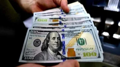 سعر الدولار أمام الجنيه المصري اليوم في البنوك يتجه نحو التحرك… تعرف على التفاصيل