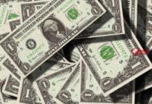 سعر الدولار اليوم الأحد 30 أغسطس 2026 يتجاوز التوقعات وسط استقرار في السوق المصرية