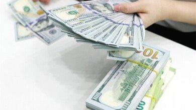 سعر الدولار في البنوك يبدأ تعاملات اليوم الأربعاء 19 أغسطس 2026 ويتحرك وفقًا للعرض والطلب