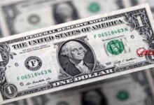 سعر الدولار في مصر اليوم الأحد 23 أغسطس 2026 واستقرار السوق المالي