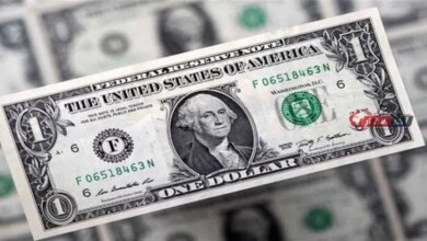 سعر الدولار في مصر اليوم الأحد 23 أغسطس 2026 واستقرار السوق المالي