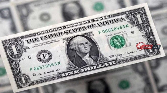 سعر الدولار في مصر اليوم الأحد 23 أغسطس 2026 واستقرار السوق المالي