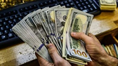 سعر الدولار مقابل الجنيه المصري اليوم الجمعة 14 أغسطس 2026 وفق آخر تحديث