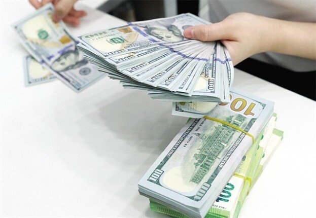 سعر الدولار مقابل الجنيه المصري اليوم الخميس 13 أغسطس 2026 بعد الارتفاع الجديد