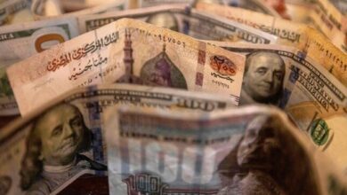 سعر الدولار مقابل الجنيه المصري خلال تعاملات الاثنين ومستوى العملة الأمريكية