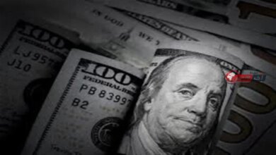 سعر الدولار مقابل الجنيه المصري في البنوك اليوم والأخضر يسجل كم من القيمة