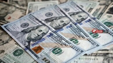 سعر الدولار يفقد 4 قروش واستثمارات الأجانب في أذون الخزانة تتجه نحو الصافي للخروج