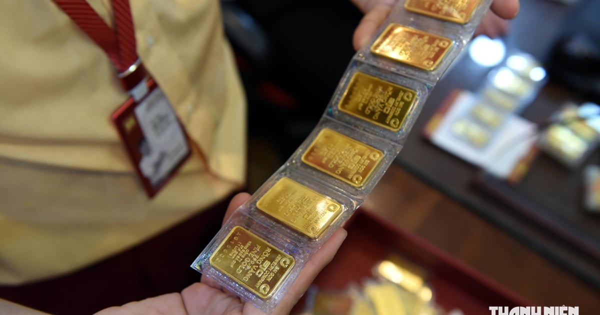 سعر الذهب اليوم 12 أغسطس 2026: هل يستمر في الصعود أم يهبط؟