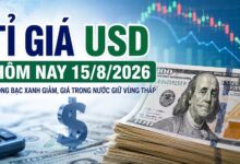 سعر صرف الدولار الأمريكي اليوم 15 أغسطس 2026: بنك فيتكومبانك يعرض 26,250 دونغ فيتنامي للدولار