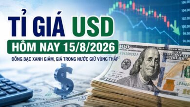 سعر صرف الدولار الأمريكي اليوم 15 أغسطس 2026: بنك فيتكومبانك يعرض 26,250 دونغ فيتنامي للدولار