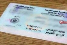 شروط استخراج رخصة قيادة لأول مرة والأوراق والإجراءات المطلوبة بسهولة وشرح مفصل